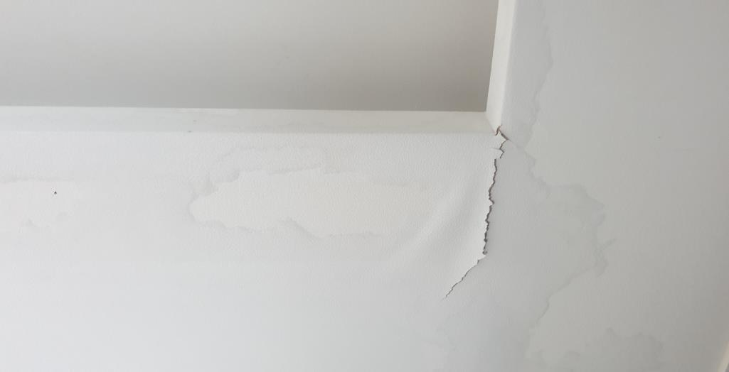 천장 누수 흔적 — 윗집 원인 추적 전